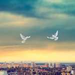 rusia, ucraina, pace, război crimeea