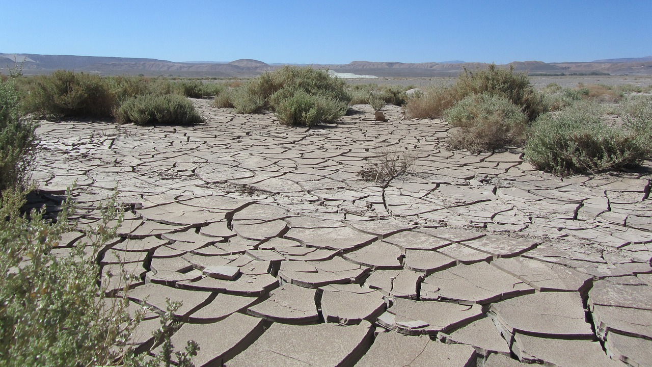 deșertul atacama