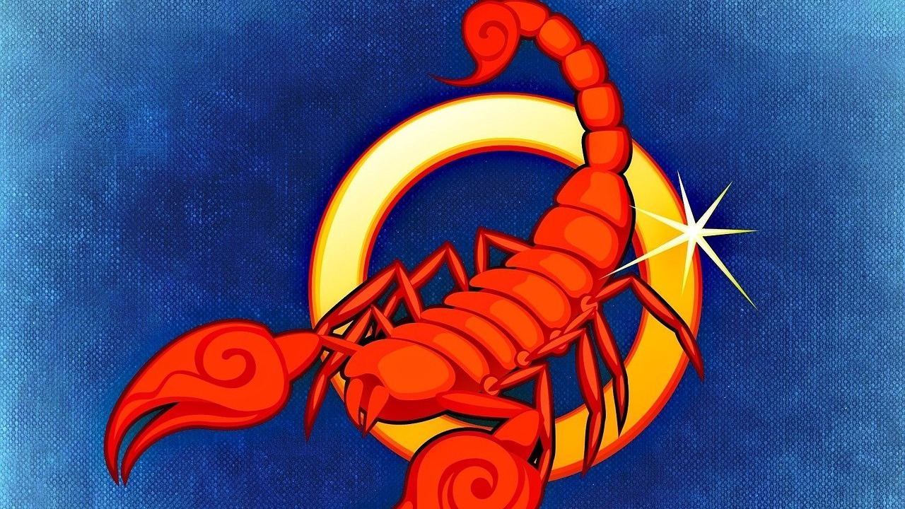 Scorpion