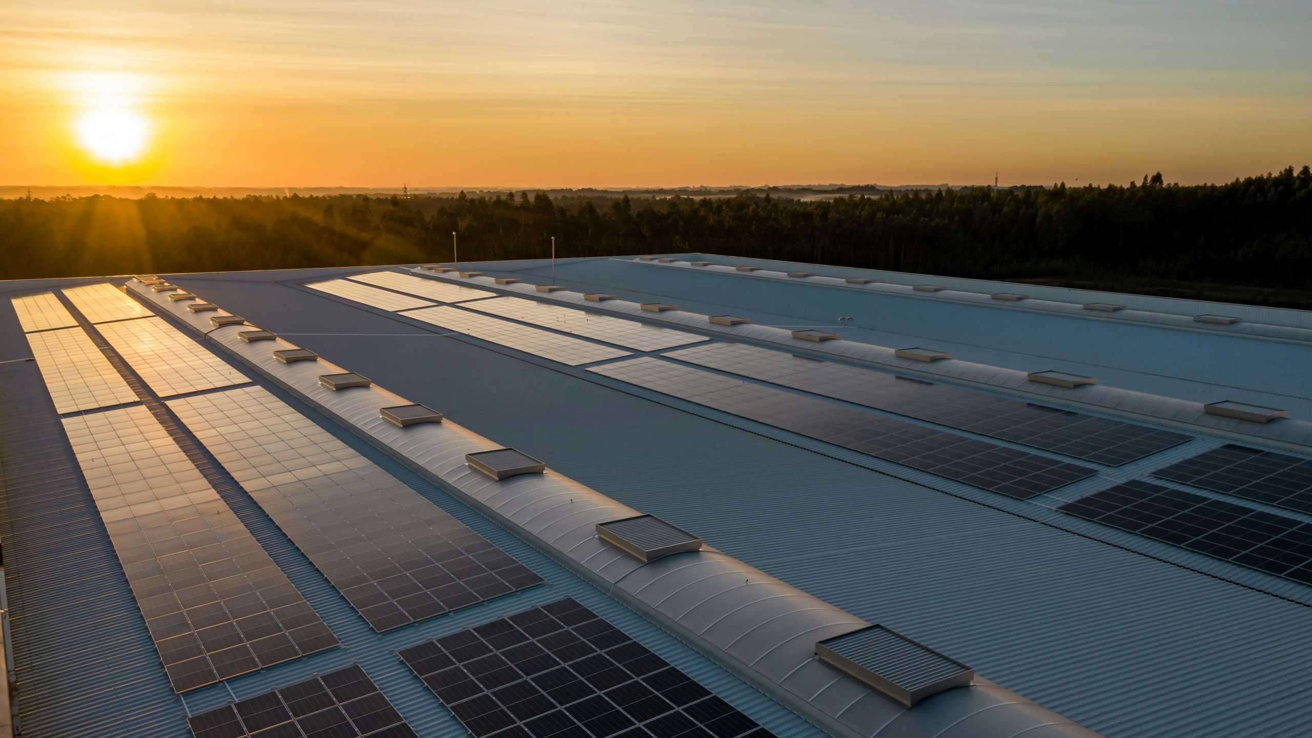 Energia solară din SUA încetinește: schimbările politice federale redesenează viitorul industriei