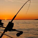 pescuit peste