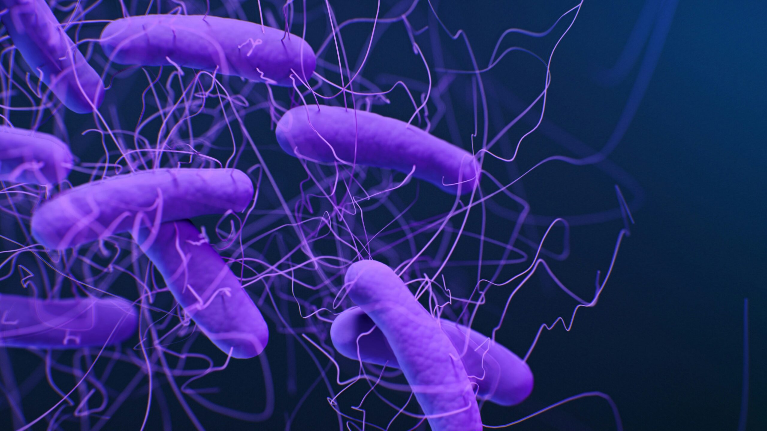 bacterii e coli
